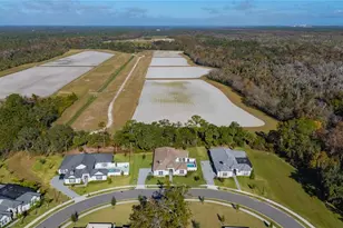 109 New Leatherwood Dr, Palm Coast, FL 32137 - Photo 41