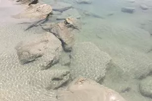 31 Beach Haven Pkwy, Palm Coast, FL 32137 - Photo 87