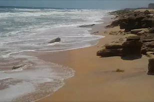 31 Beach Haven Pkwy, Palm Coast, FL 32137 - Photo 91