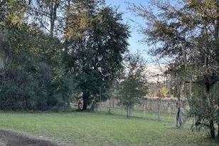 374 Sisco Rd, Pomona Park, FL 32181 - Photo 19