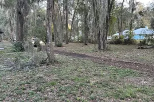 374 Sisco Rd, Pomona Park, FL 32181 - Photo 3