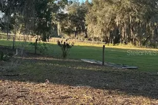 374 Sisco Rd, Pomona Park, FL 32181 - Photo 21