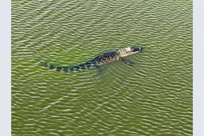 55 New Water Oak Drive, Palm Coast, FL 32137 - Photo 99