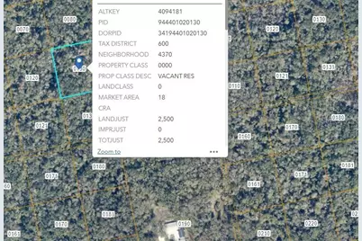 000 Reed Grove Road, Oak Hill, FL 32759 - Photo 3