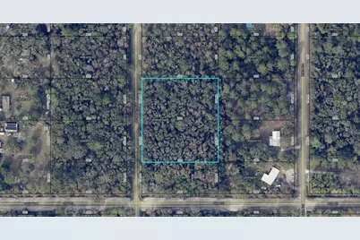 10040 McMahon Avenue, Hastings, FL 32145 - Photo 5