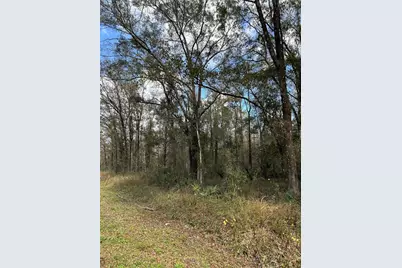 10040 McMahon Avenue, Hastings, FL 32145 - Photo 9