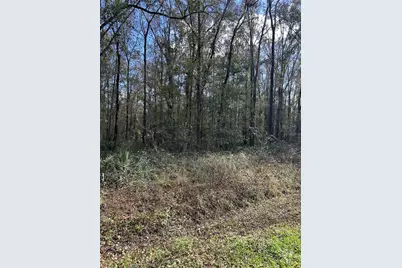 10040 McMahon Avenue, Hastings, FL 32145 - Photo 3