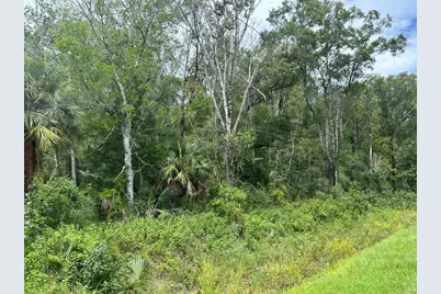 10040 McMahon Avenue, Hastings, FL 32145 - Photo 1