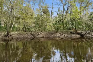 120 Creek Crossing Rd, Port Orange, FL 32128 - Photo 27