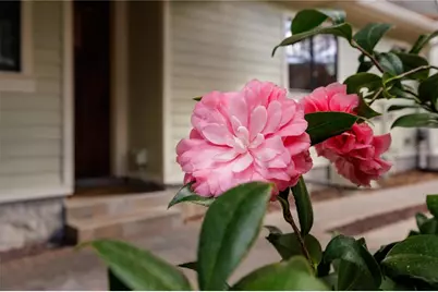 1612 E Washington Street, Orlando, FL 32803 - Photo 49