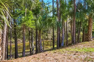 31 Pony Express Dr, Palm Coast, FL 32164 - Photo 57