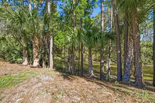 31 Pony Express Dr, Palm Coast, FL 32164 - Photo 59