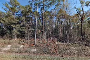 10410 Vaughan AveHastingsFL 32145 - Photo 1