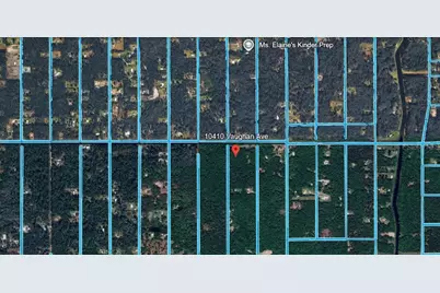 10410 Vaughan Avenue, Hastings, FL 32145 - Photo 9