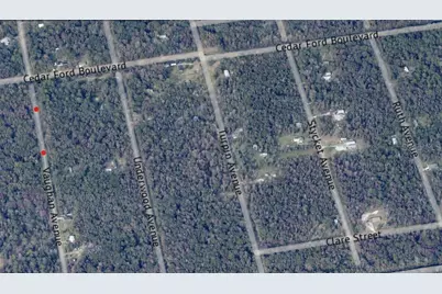 10410 Vaughan Avenue, Hastings, FL 32145 - Photo 7