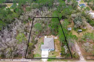 4555 Alvin St, Hastings, FL 32145 - Photo 3