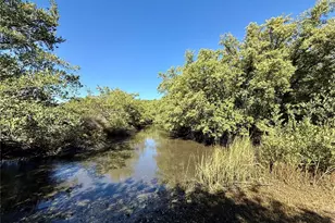 2226 S Daytona Ave, Flagler Beach, FL 32136 - Photo 23