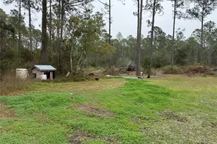 4177 Fruitwood Ave, Bunnell, FL 32110 - Photo 3