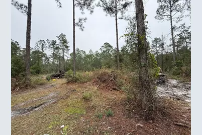 4177 Fruitwood Avenue, Bunnell, FL 32110 - Photo 5