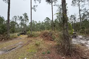 4177 Fruitwood Ave, Bunnell, FL 32110 - Photo 5