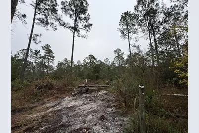 4177 Fruitwood Avenue, Bunnell, FL 32110 - Photo 7