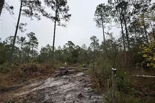 4177 Fruitwood Ave, Bunnell, FL 32110 - Photo 7