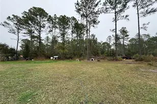 4177 Fruitwood Ave, Bunnell, FL 32110 - Photo 9