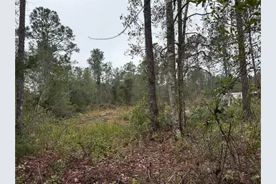 4177 Fruitwood Avenue, Bunnell, FL 32110 - Photo 11