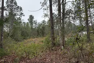 4177 Fruitwood Ave, Bunnell, FL 32110 - Photo 11