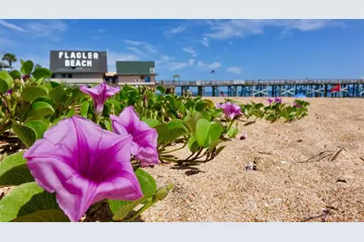 3 Ballard Lane, Palm Coast, FL 32164 - Photo 9