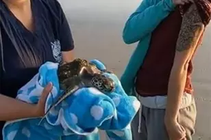 4525 S Atlantic Ave, Port Orange, FL 32127 - Photo 37