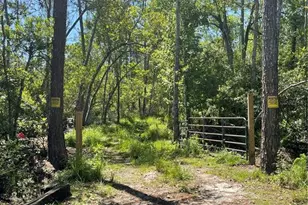 3781 Pine Pitch Ct, Ormond Beach, FL 32174 - Photo 1