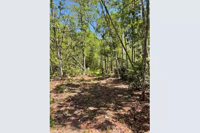 3781 Pine Pitch Court, Ormond Beach, FL 32174 - Photo 3