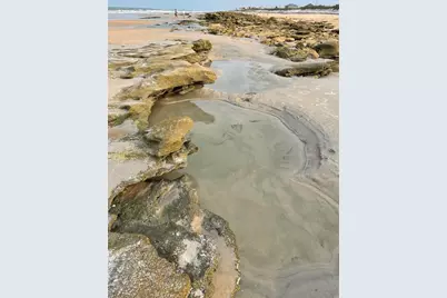 19 Deerwood Street, Palm Coast, FL 32137 - Photo 59