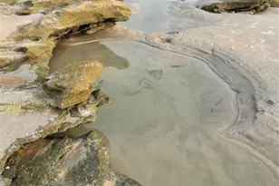 19 Deerwood St, Palm Coast, FL 32137 - Photo 59