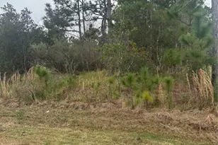 3 Lansing Ln, Palm Coast, FL 32137 - Photo 1