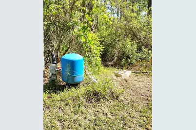 1215 Beech Boulevard, Bunnell, FL 32110 - Photo 5