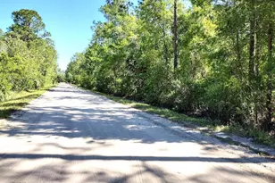 1215 Beech Blvd, Bunnell, FL 32110 - Photo 13