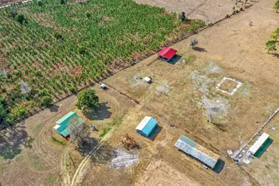 16815 NE 95th Avenue, Waldo, FL 32694 - Photo 63