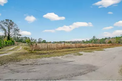 16815 NE 95th Avenue, Waldo, FL 32694 - Photo 3