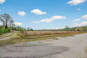 16815 NE 95th Ave, Waldo, FL 32694 - Photo 3