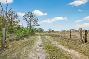 16815 NE 95th Ave, Waldo, FL 32694 - Photo 7