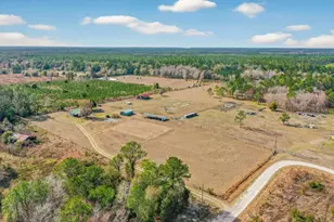 16815 NE 95th Ave, Waldo, FL 32694 - Photo 59