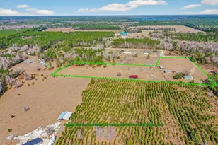 16815 NE 95th Ave, Waldo, FL 32694 - Photo 65