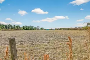 16815 NE 95th Ave, Waldo, FL 32694 - Photo 5