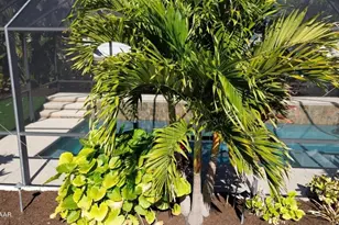 133 Barrier Isle Dr, Ormond Beach, FL 32176 - Photo 43