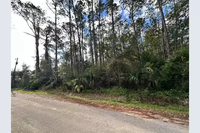 00 N Peach Street, Bunnell, FL 32110 - Photo 1