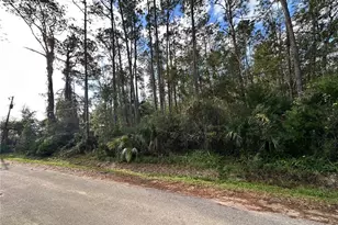 00 N Peach St, Bunnell, FL 32110 - Photo 1