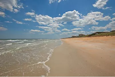 77 Heron Drive, Palm Coast, FL 32137 - Photo 97