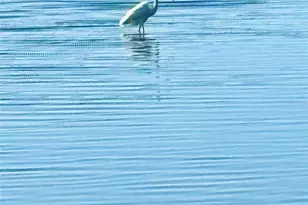 75 Ocean Palm Villa S, Flagler Beach, FL 32136 - Photo 23